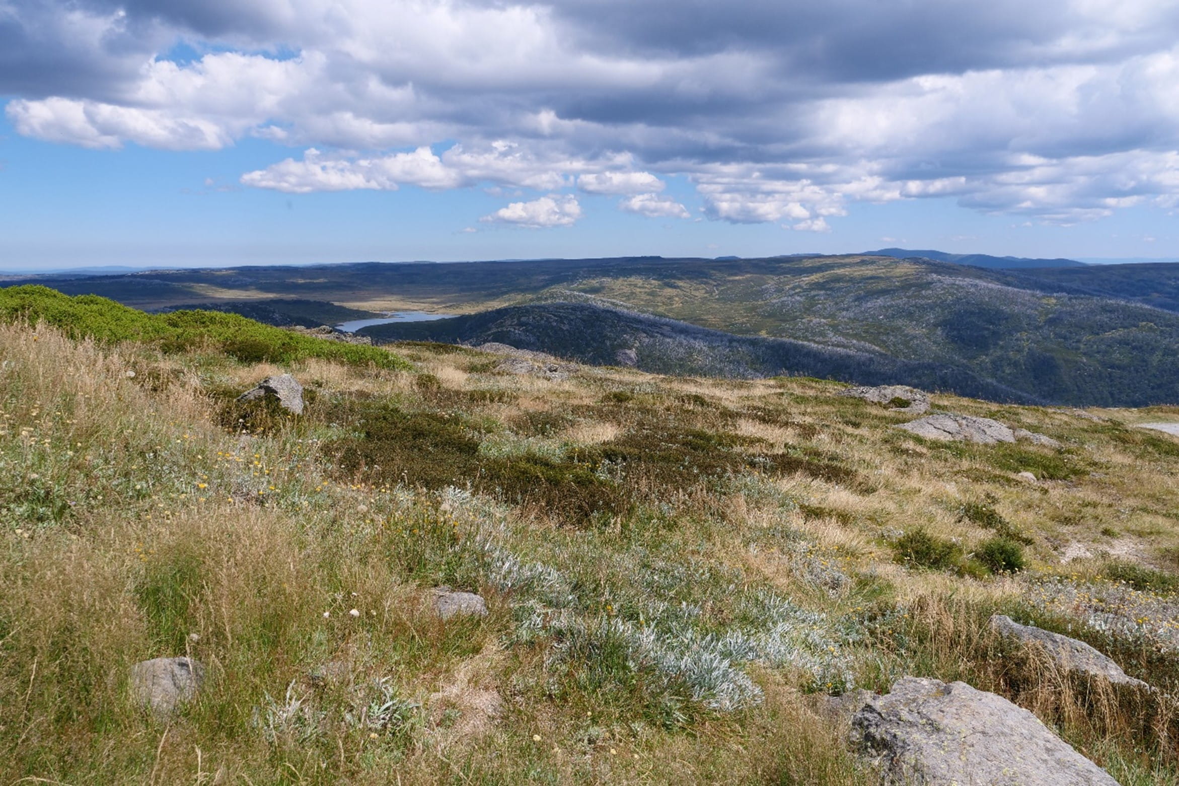 The scenery at the top of Mount McKay. green and brown vegetation  is present, with interspersed granite boulder rocks. 