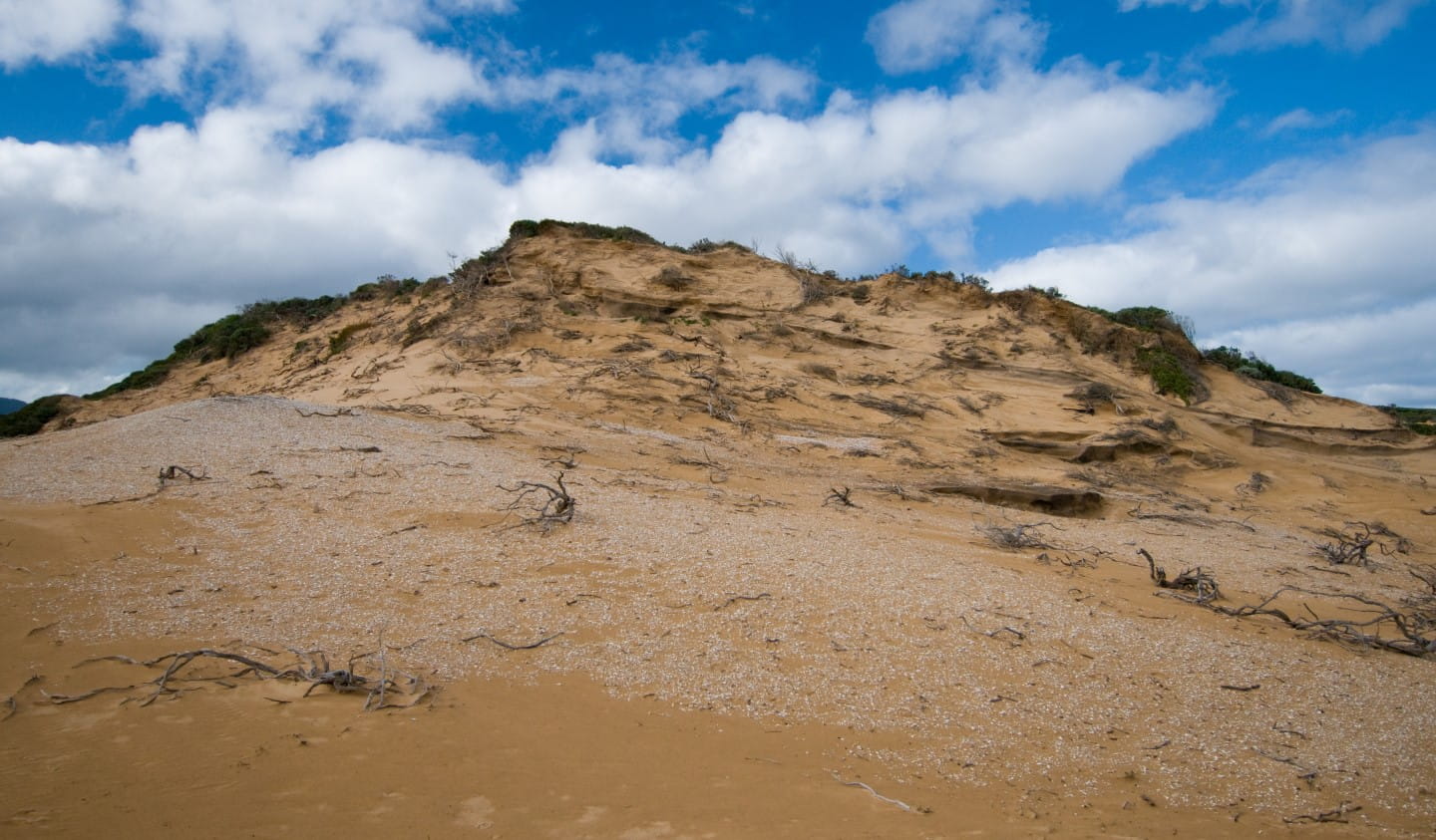 A midden at Wilsons Promontory National Park