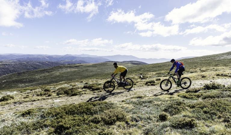 Mountain biking is a popular activity in Victoria's parks and reserves