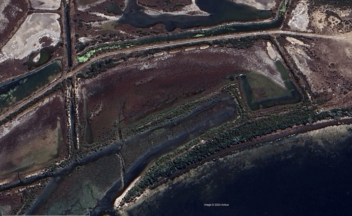 2024 aerial footage of the saltworks shows how the foreshore vegetation has grown back recently.