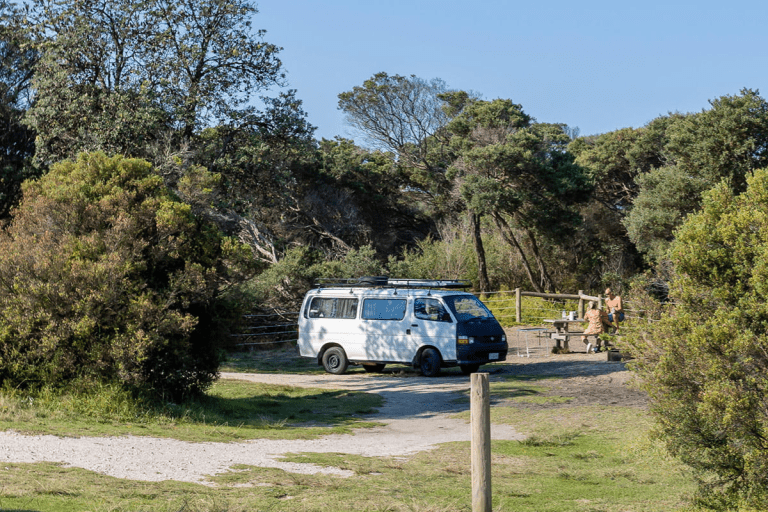 White van parked next to picnic table in a campsite, shaded by trees
