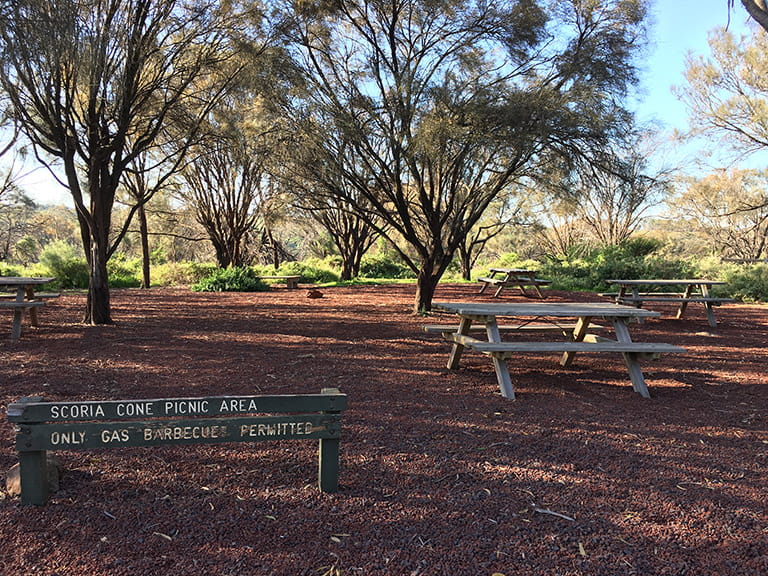 Scoria Cone Picnic Area at Organ Pipes National Park.
