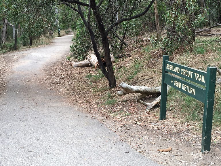 Yarra Bend Studley Park Bushland Circuit Trail