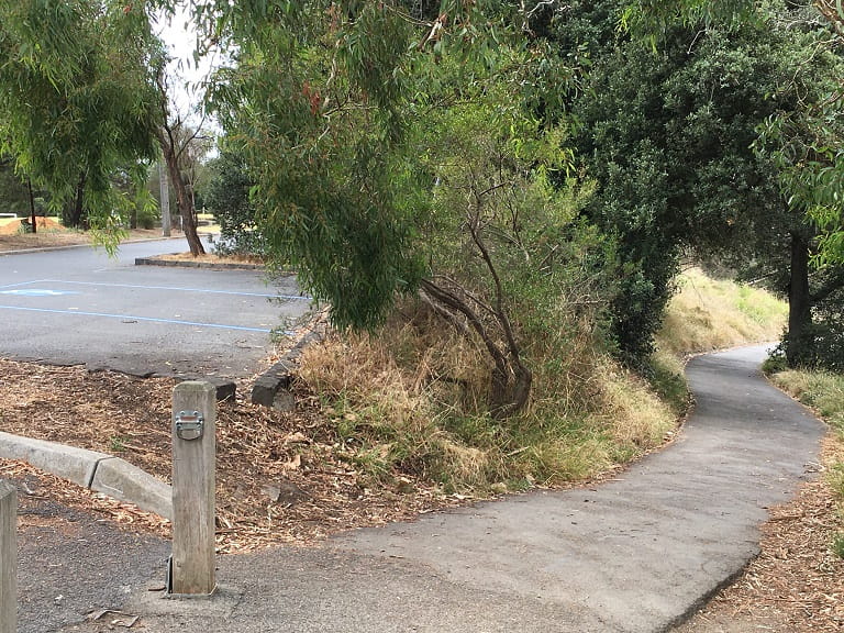 Yarra Bend Studley Park Path from Kane's Bridge to Loop Picnic Area