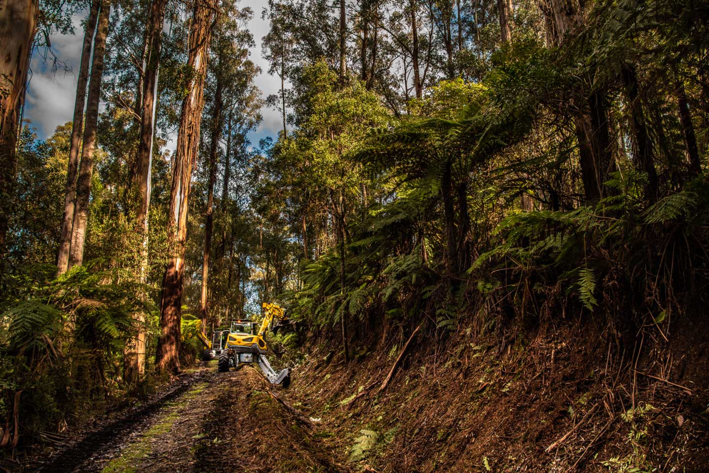 Mulching along stategic access road