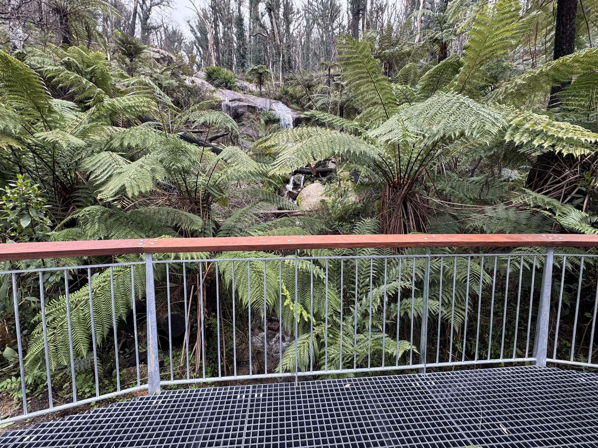 Recovery works to replace the Ferntree Falls pedestrian bridge in Mount Buangor now complete