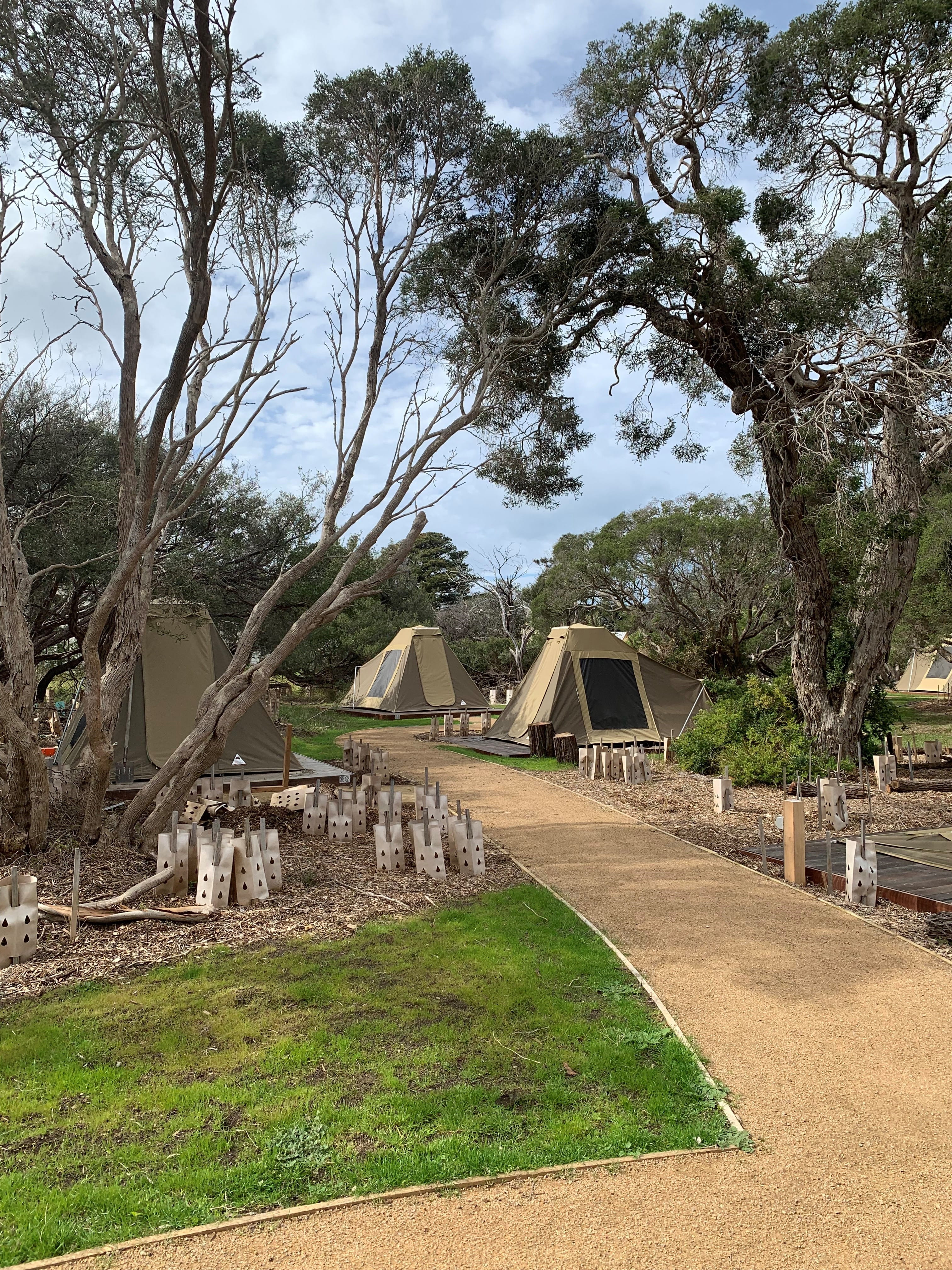 A winding gravel path leads to beige canvas tents, which is sitting under the shade of trees with low, twisting branches. 