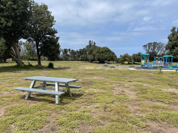Replas picnic table in urban park
