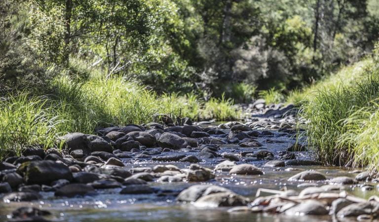 The Howqua River at Alpine National Park
