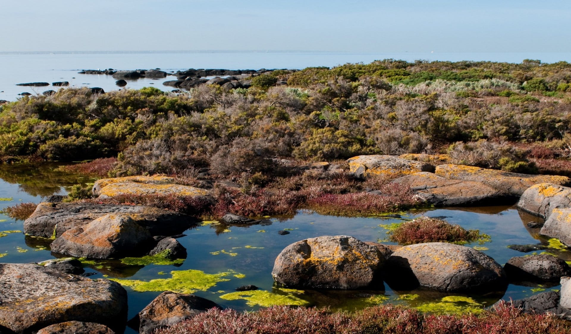 Rocks and shallow pools of water at the basalt plains
