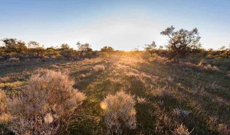 Fire-affected parks remain closed as others reopen