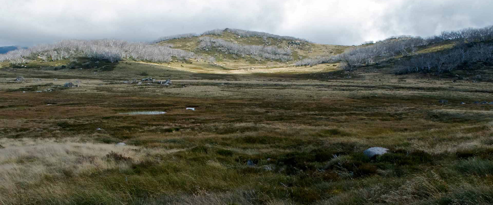 Alpine landscape photo with a mix of grass, peat and hills