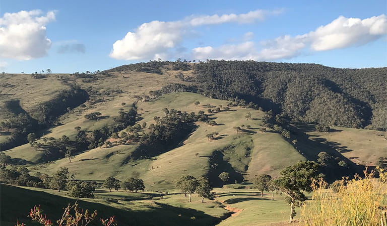 Avon Wilderness Park