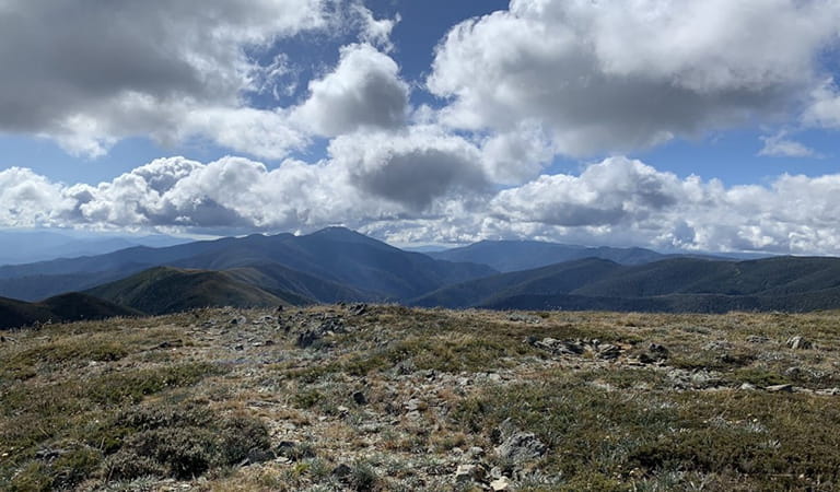 Mount Murphy Historic Area