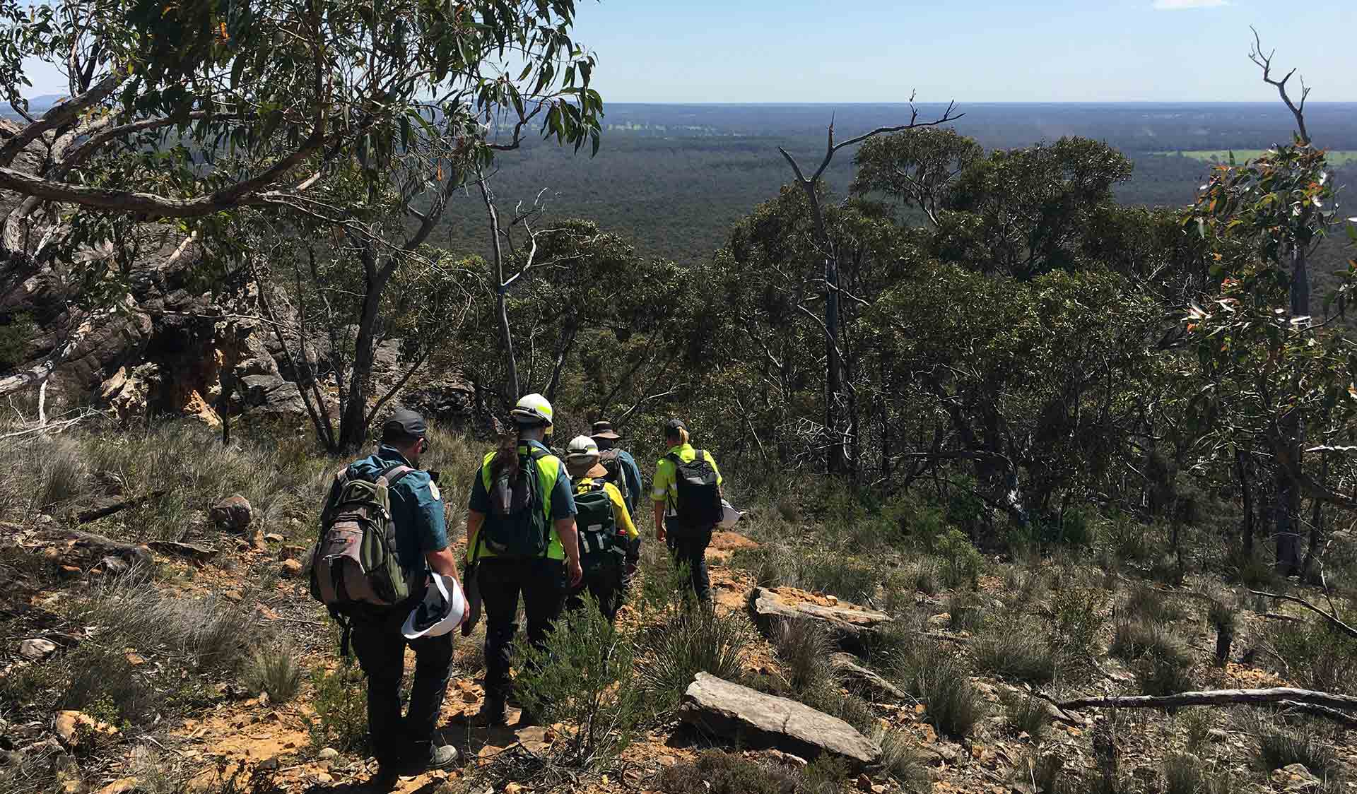 Parks Victoria staff in the field