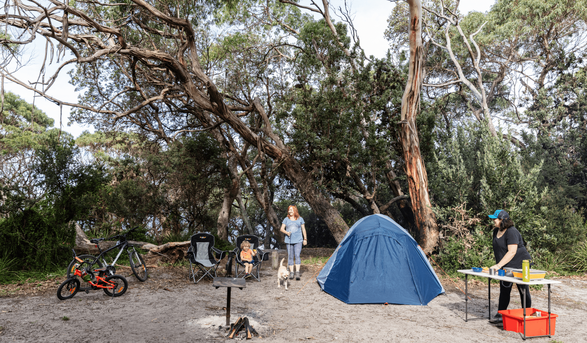 Parent, dog and child gathered by tent at Banksia Bluff Campground in Cape Conran Coastal Park