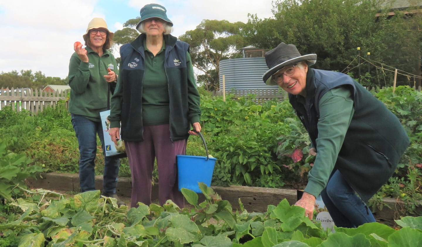 Volunteers spending time gardening