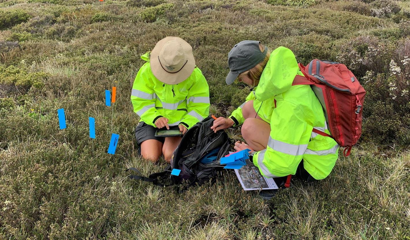Two volunteers in safety clothing and hats working at ground level.