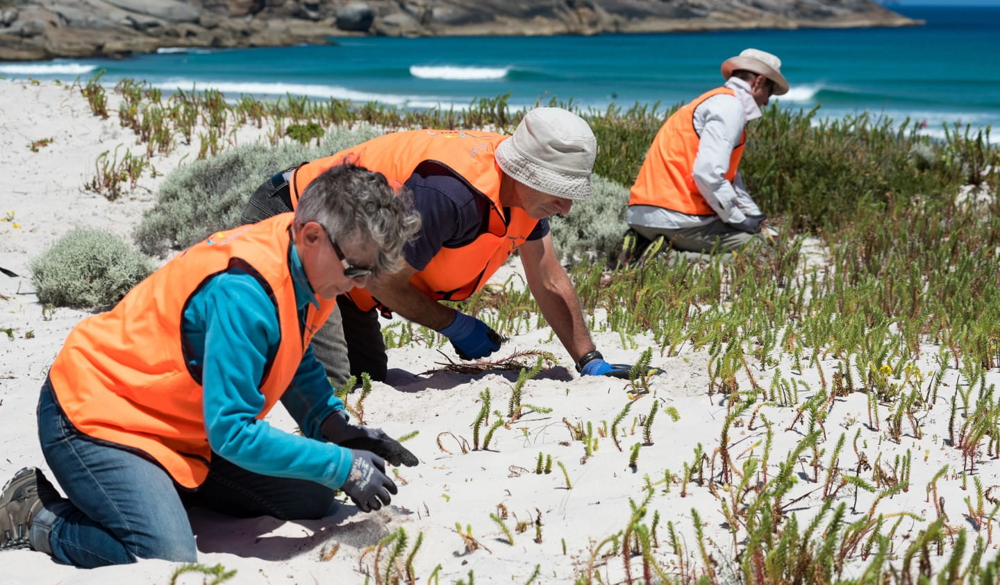 Volunteers on a beach