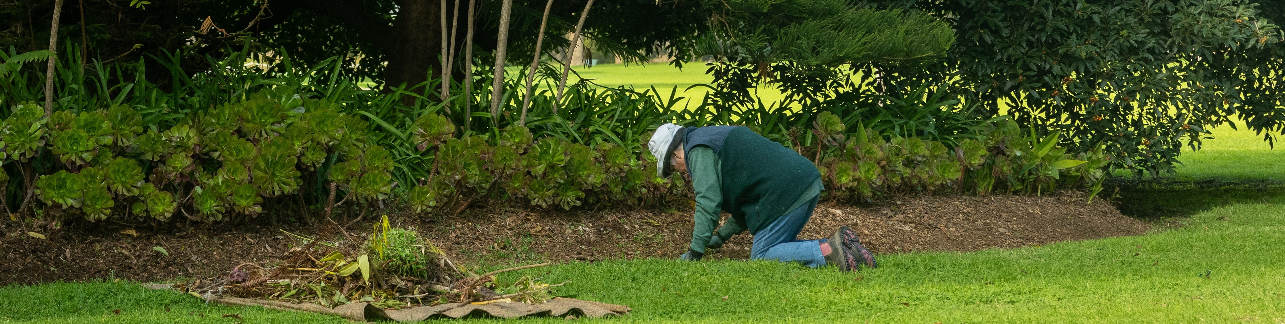 Volunteer working in garden