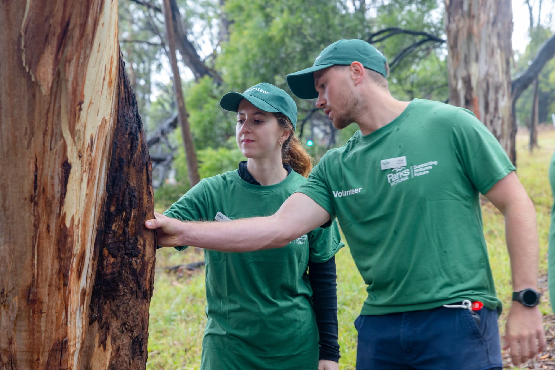 Volunteers in Wattle Park