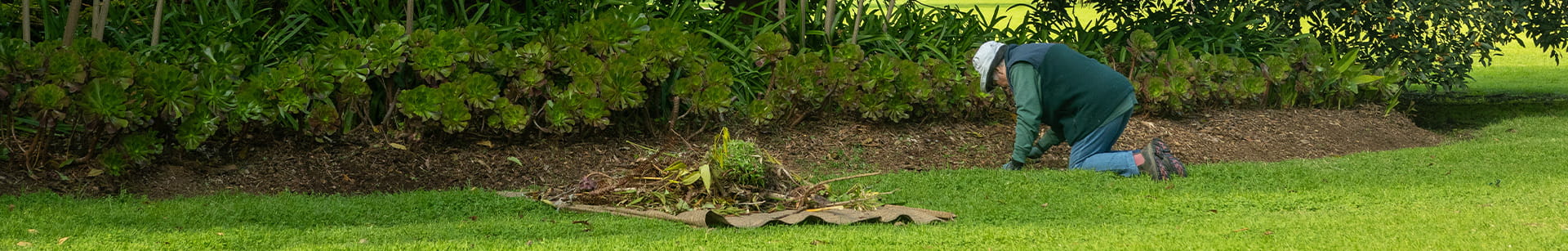 Volunteer weeding in garden