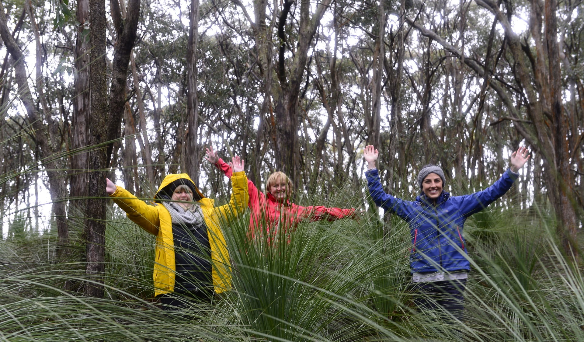 Three women cheering among Grass Trees in Woowookarung Regional Park