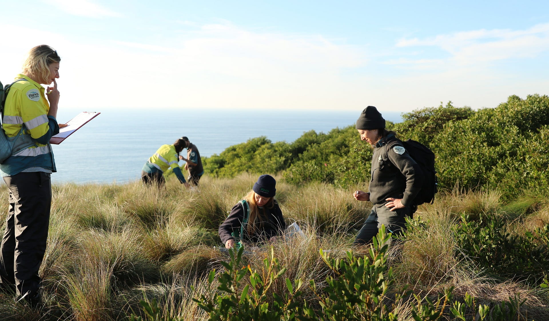 Parks Victoria and Zoos Victoria team members inspecting Swamp Antechinus traps in Wilsons Promontory National Park