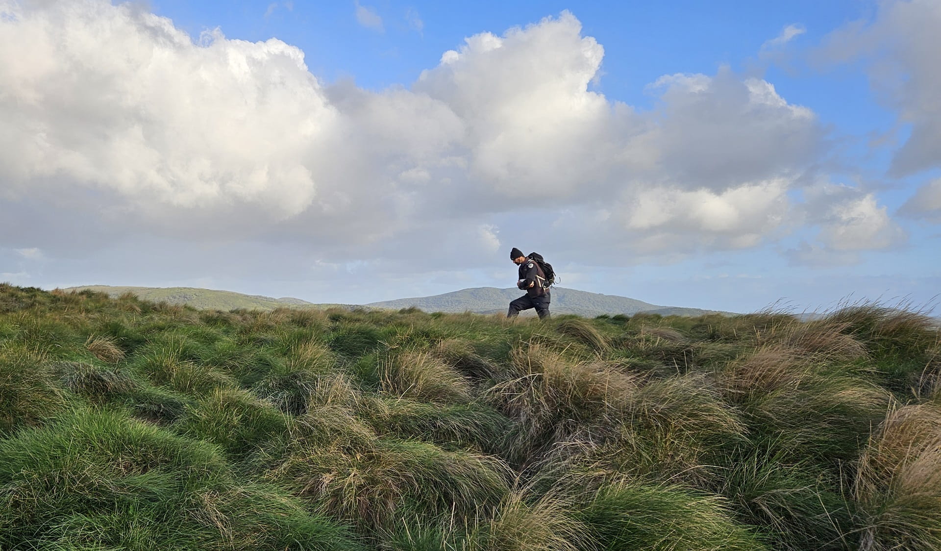 Parks Victoria rangers walks through windswept island terrain within Wilsons Promontory National Park