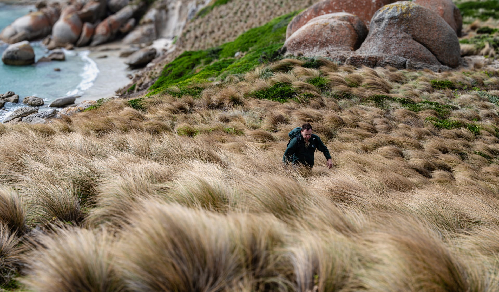 Parks Victoria team member, Mark Antos, walking through windy plain at Wilsons Promontory National Park