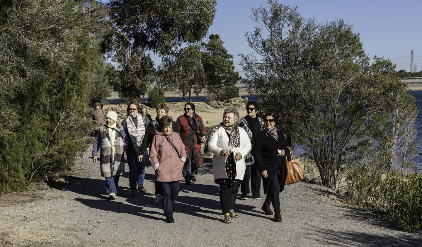 A Park Walk group in Lysterfield Park