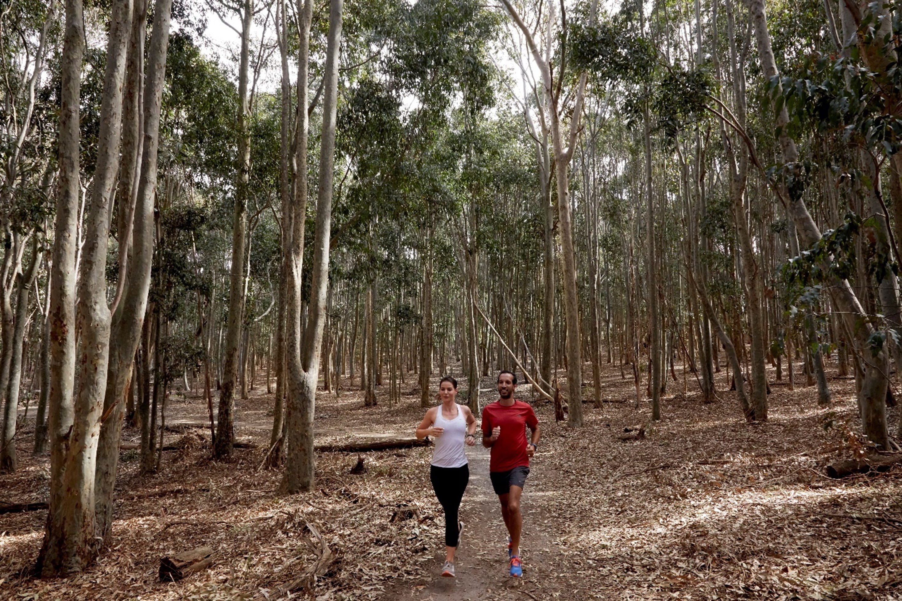 two people trail running