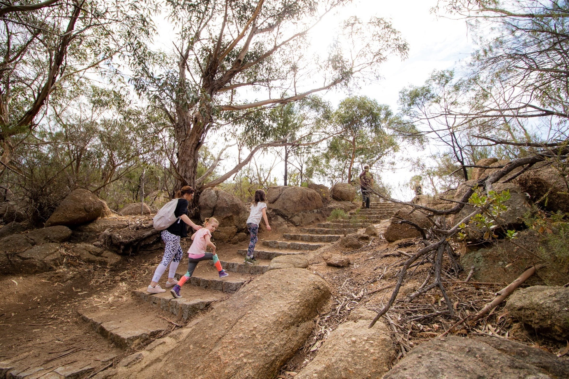 people climbing stairs