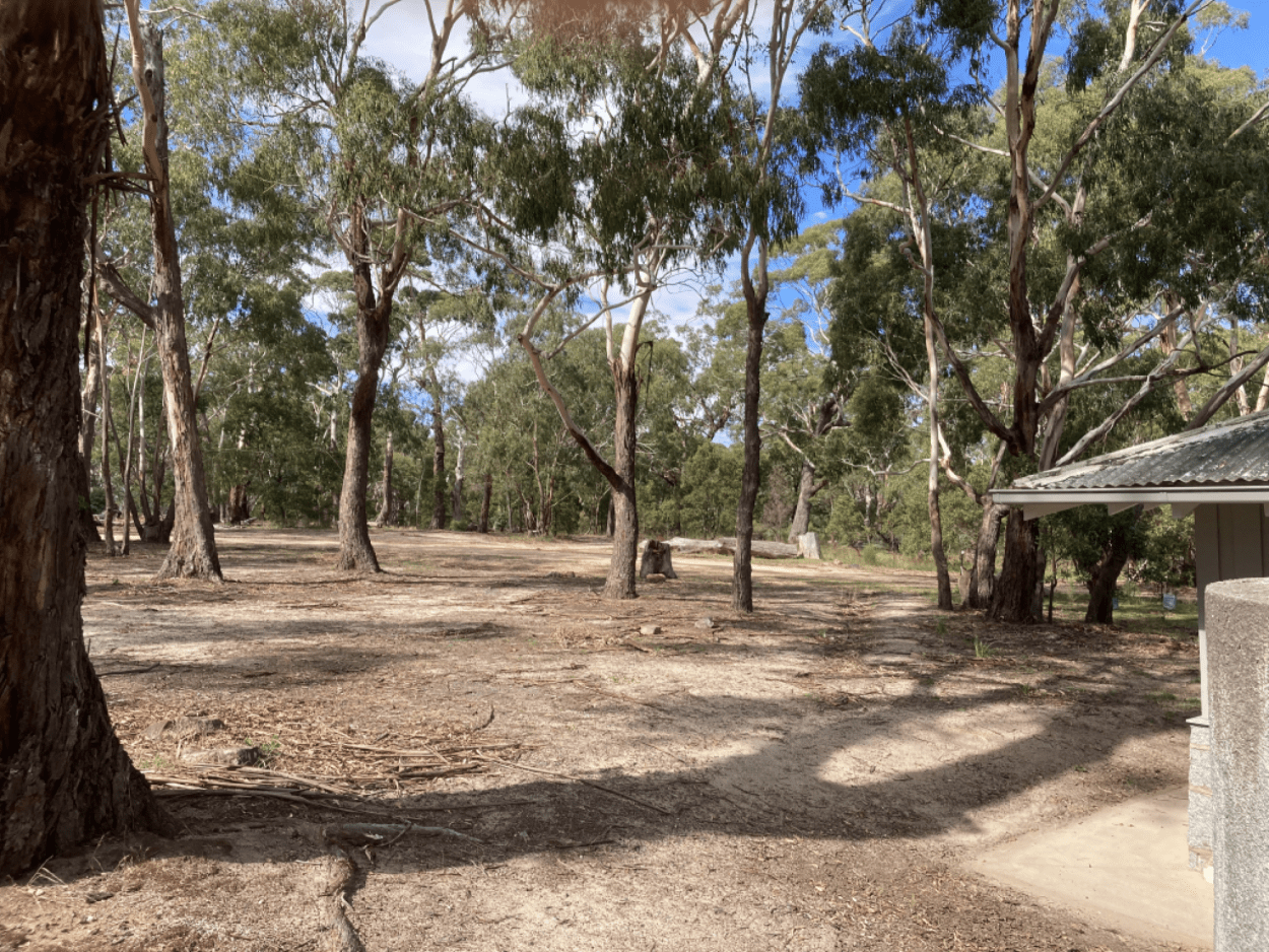 Leanganook camping area with trees and empty flat space