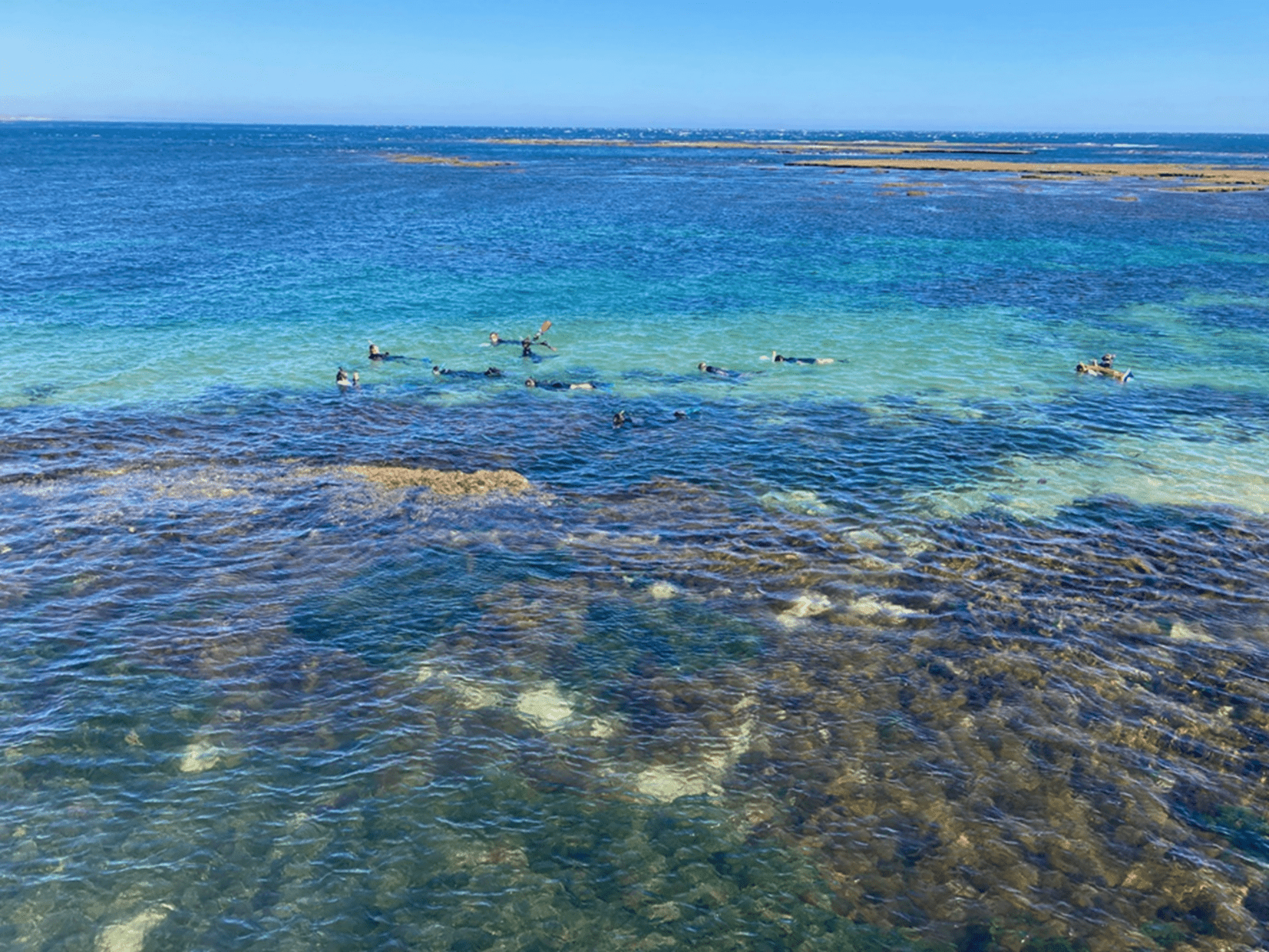 People are swimming in the blue waters 