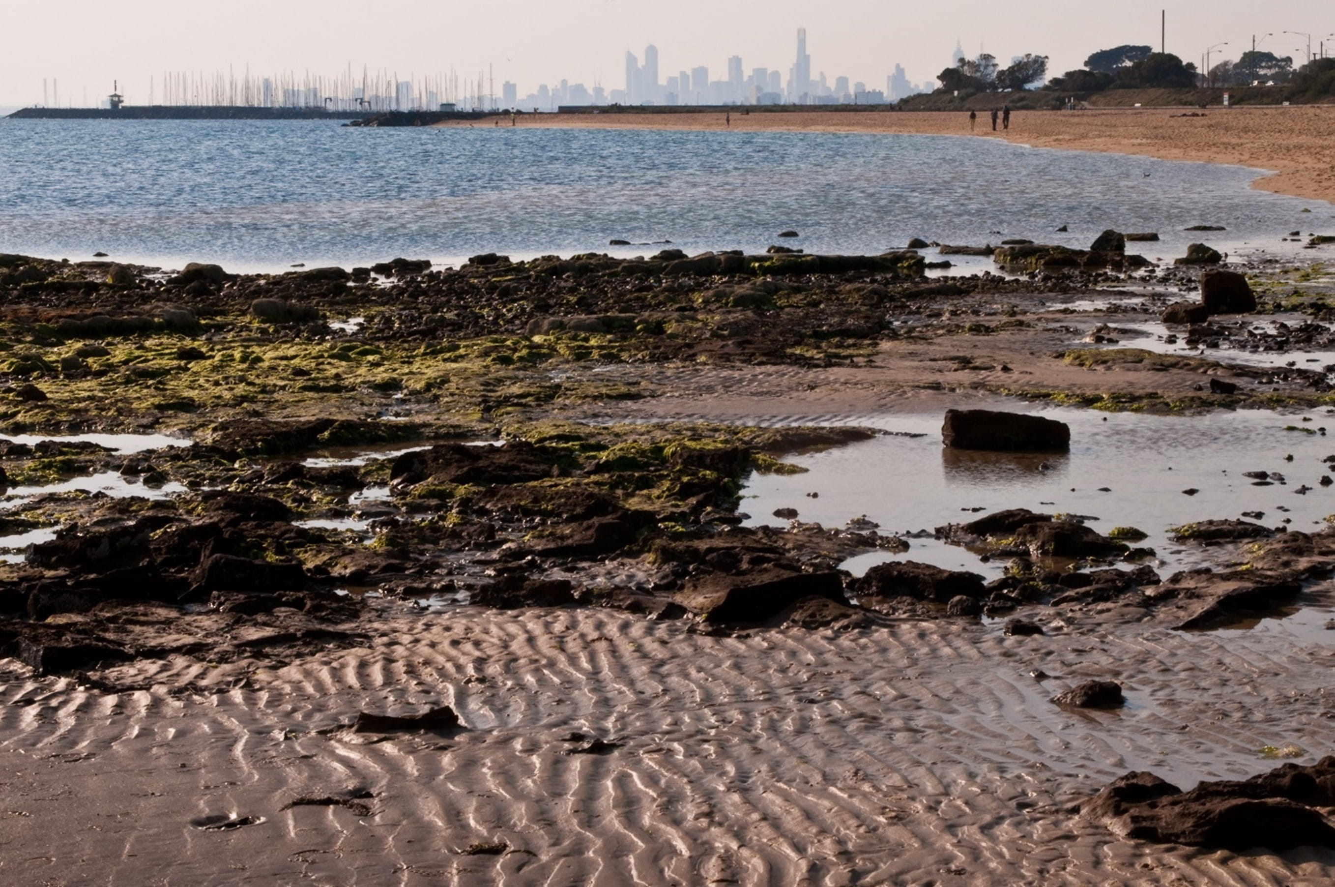 Low tide at the beach, with the Melbourne skyline in the background.