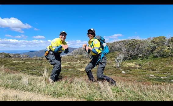 Parks Victoria staff posing as Mountain pygmy-possums in the Victorian alps