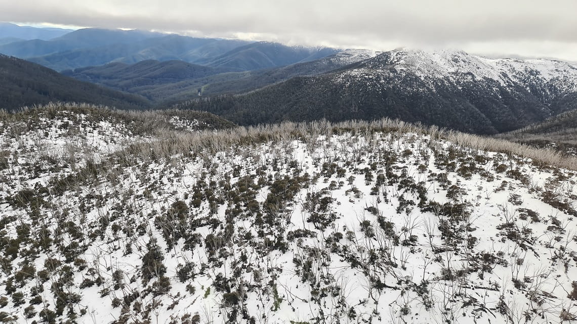 Rolling hills of the Victorian alps from the sky, blanketed in white snow
