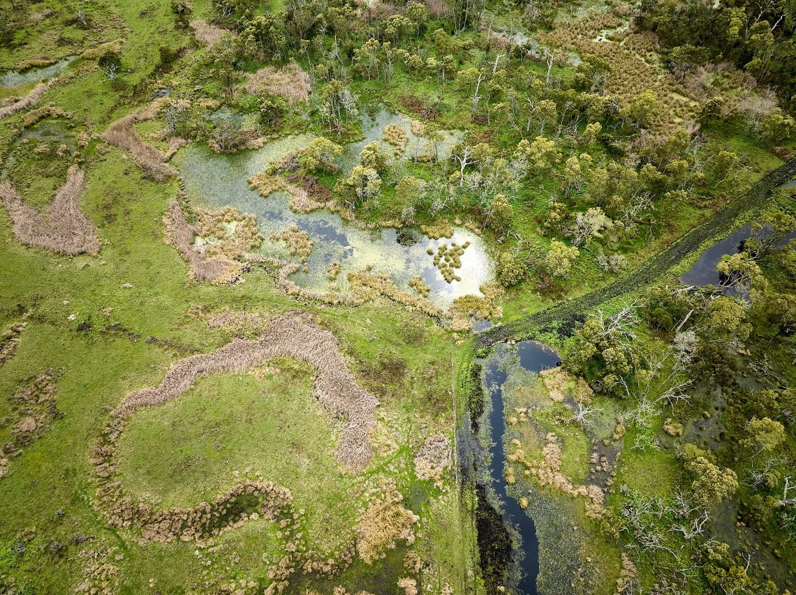 Budj Bim Cultural Landscape on Gunditjmara Country