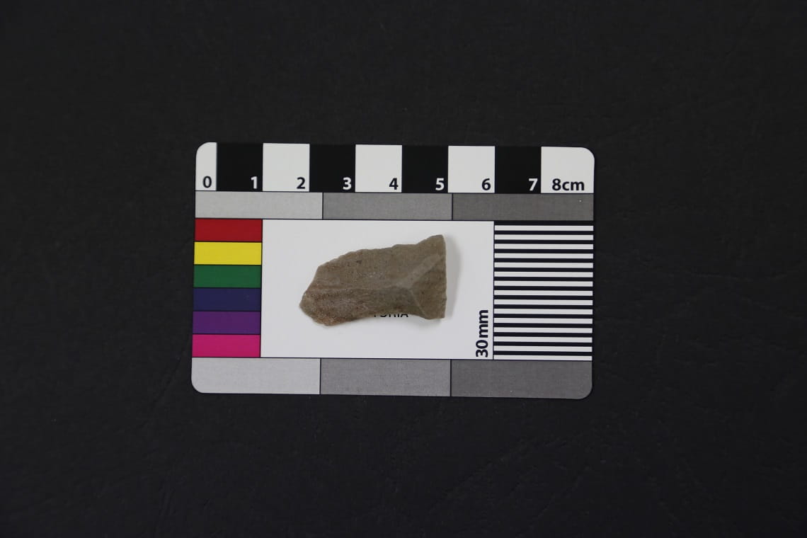 Flake dorsal surface showing negative scars