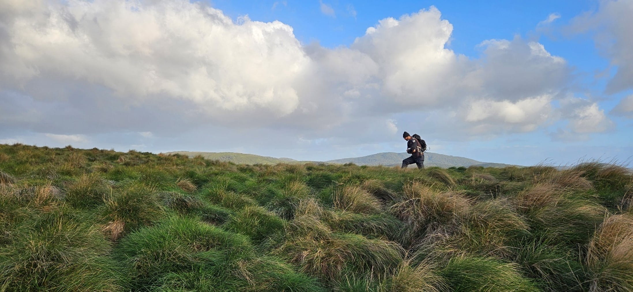 A single person walks along the landscape. A blue sky with white clouds is present, as are the thickets of yellow/green grass below their feet.