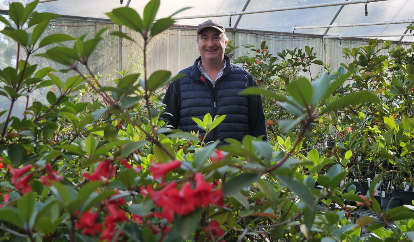 Andrew Rouse at Dandenong Ranges Botanic Garden