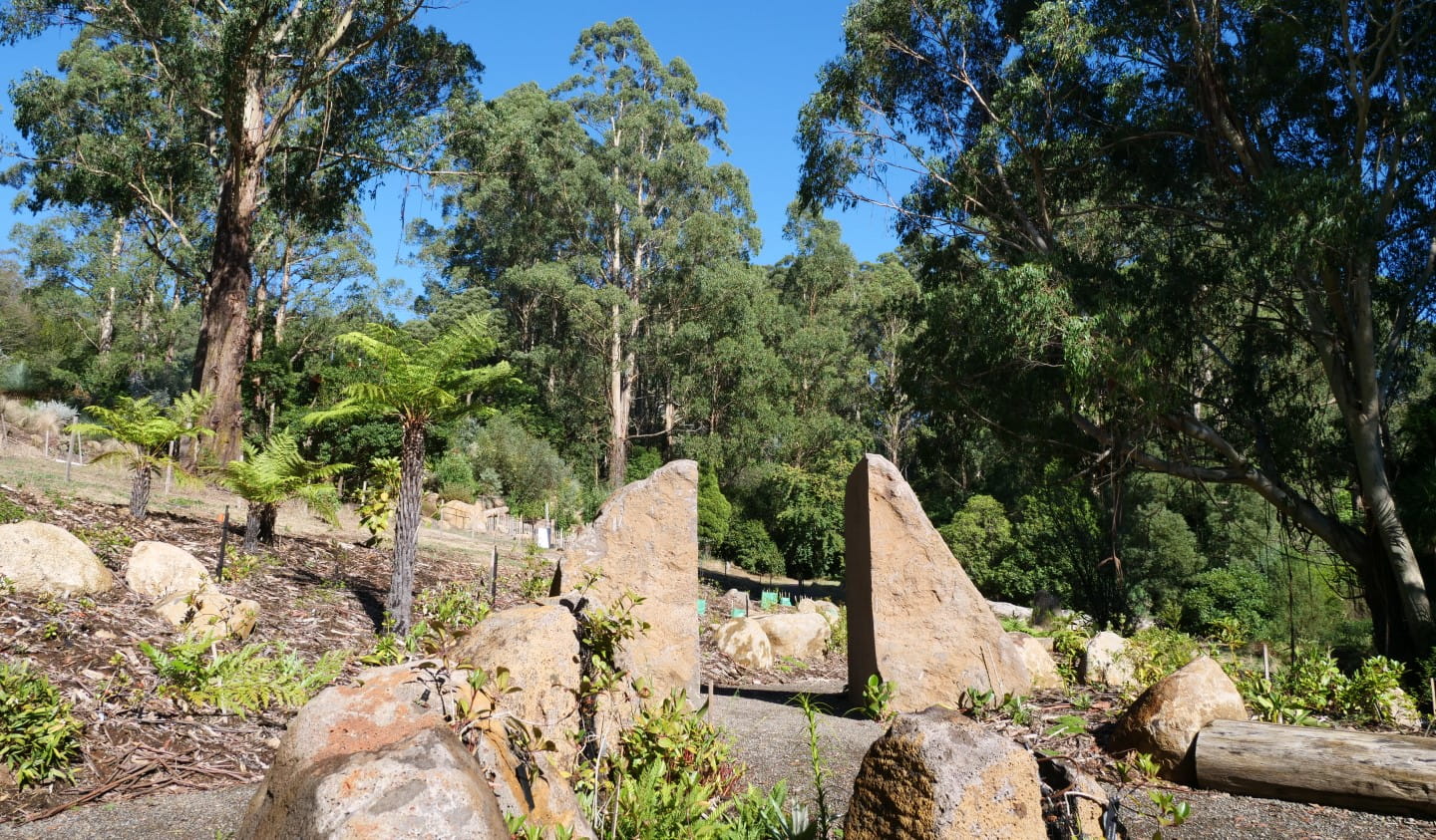 Australian Cloud Forest Collection