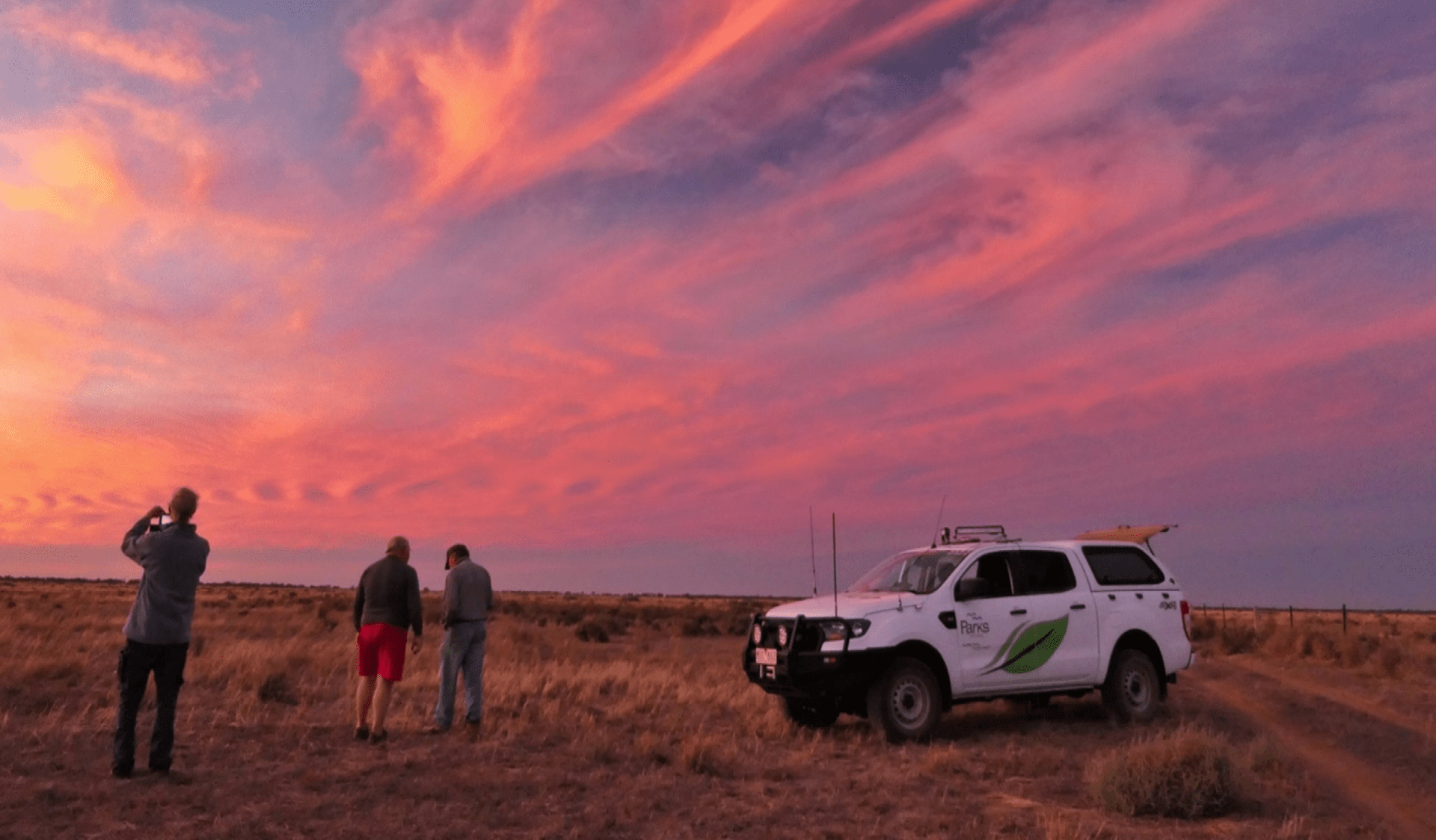 A white car is juxtaposed against a pink sky