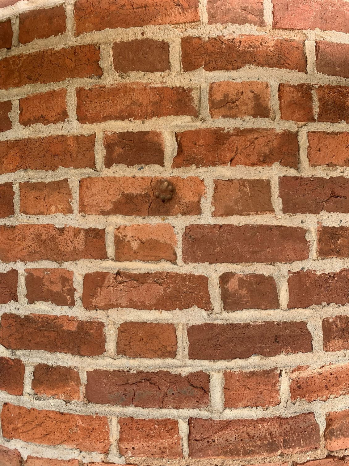 A wall of old bricks, one with a cat's pawprint embedded in it