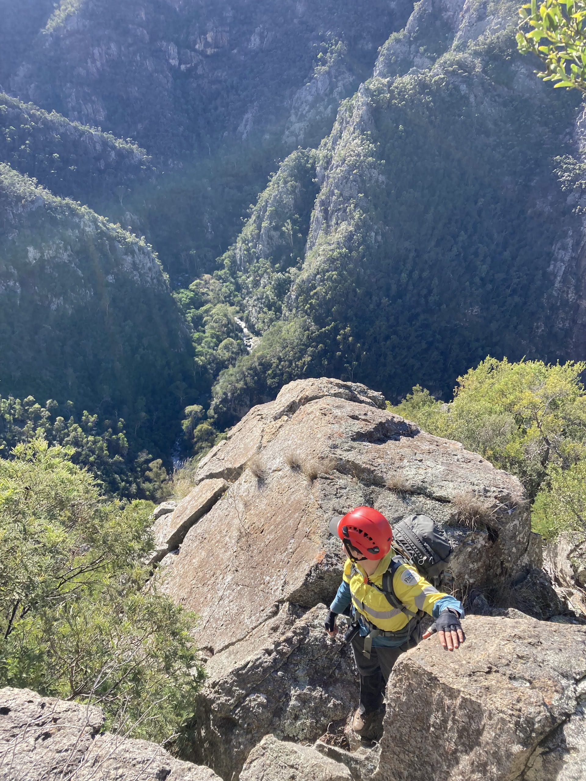 A Brush-tailed Rock-wallaby is carried by a ranger down the sheer cliffs of Little River Gorge in the Snowy River National Park
