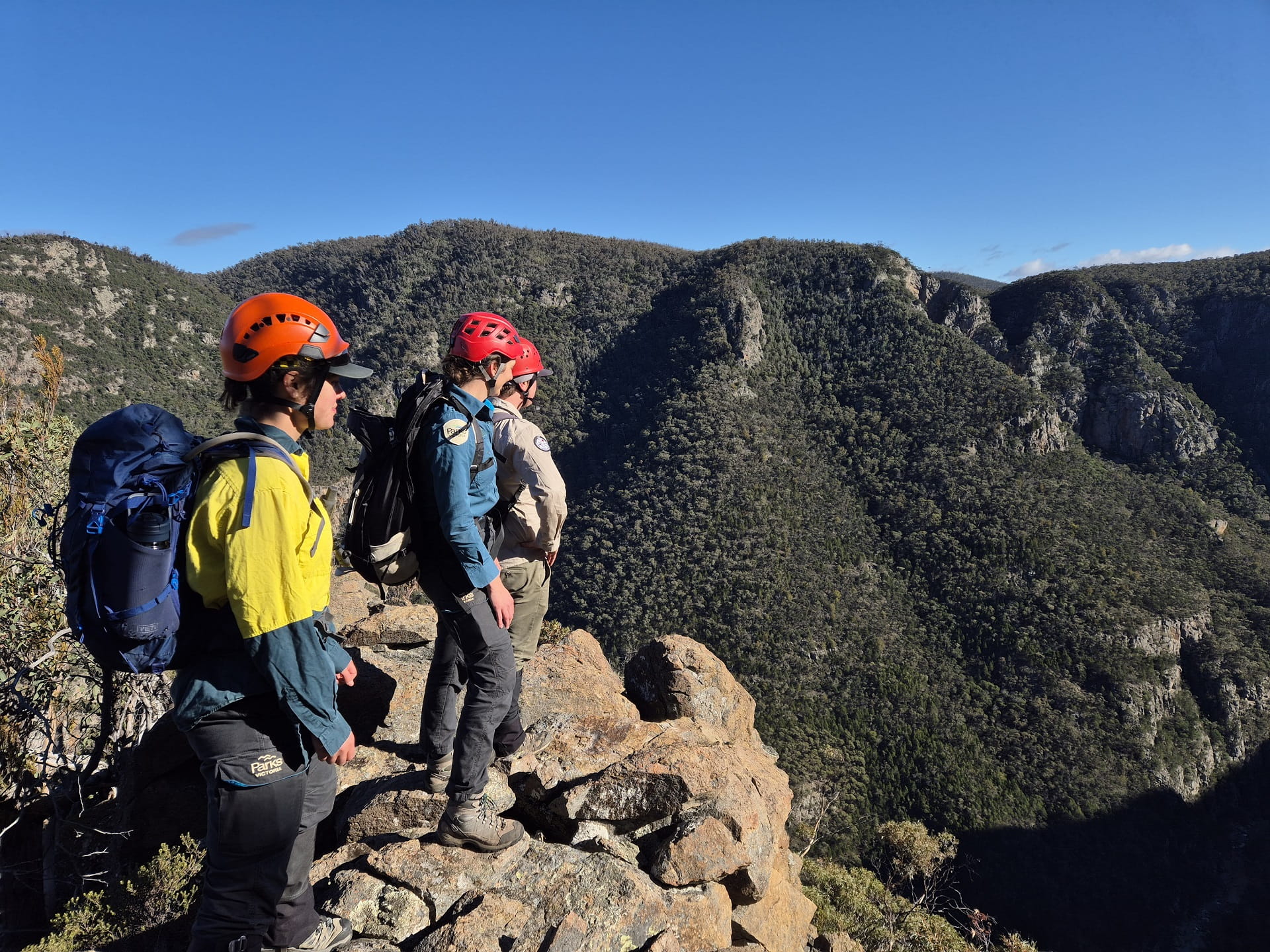 Top of the mountain, a team of specialists transport Brush-tailed Rock-wallabies in backpacks to their new home at Little River Gorge in the Snowy River National Park