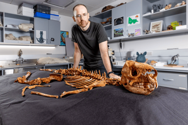 A skeleton laid on a table, with a man standing over it.