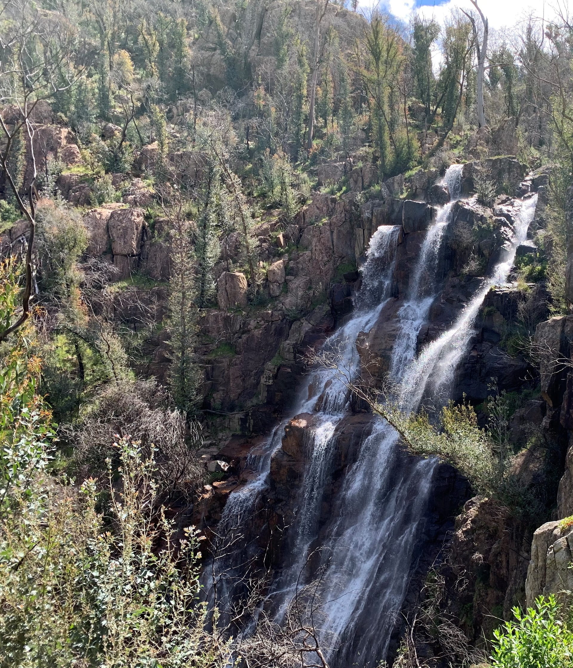 Burrowa-Pine Mountain National Park Bluff Falls 5 years after the black summer fires 