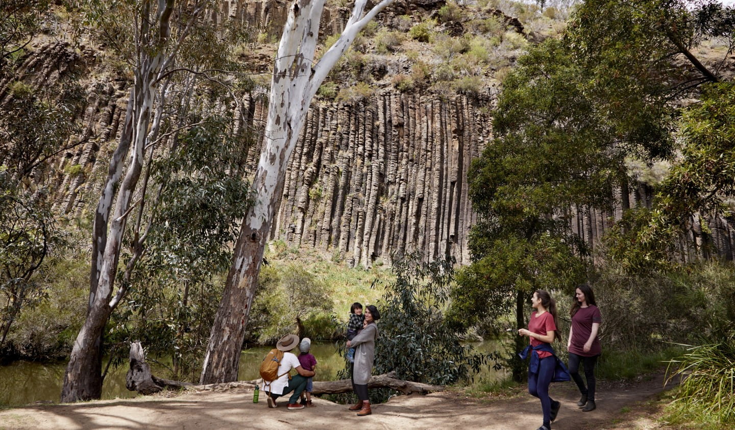 Organ Pipes National Park